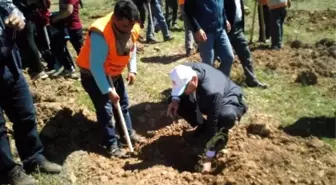 Sarıveliler'de Fidan Dikimi ve Uçurtma Şenliği