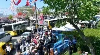 Üsküdar'da Mor Salkım Erguvan ve Mimoza Şenliği