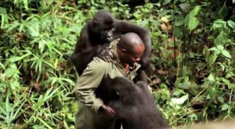 Virunga'dan Hikayeler - Yeniden Yeryüzü