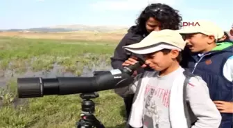 Burdur'da 'Dünya Göçmen Kuşlar Günü' Kutlandı