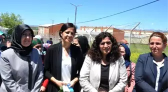 HDP'li Ata, Siirt'te Esnaf Gezisinde