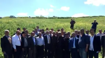 Milletvekili Filiz Kızılırmak'ta