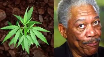 Morgan Freeman Plea For Pot Legalization: 'I'll Eat It, Drink It, Smoke It, Snort It'