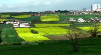 Kanola Veriminde Avrupa ile Yarışıyoruz'