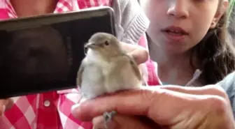 Öğrencilere Kuş Halkalanması Eğitimi