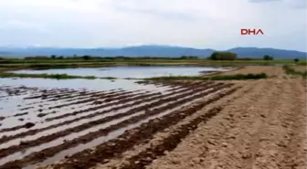 Patates Tarlalarını Su Bastı