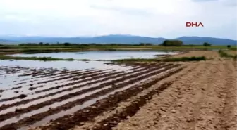 Patates Tarlalarını Su Bastı