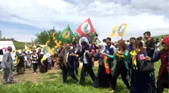 Ezidi Adaya İlgi