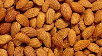 Avrupalı Sanayici Fındık Yerine Bademe Yöneldi