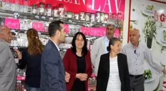 HDP Adayı Aydoğan Seçim Çalışmalarına Devam Ediyor