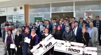 Kadın Çiftçiler Ladik'te Yarıştı