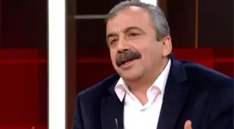 HDP'li Önder, 'Erdoğan'ı Başkan Yaptırmayacağız' Sözüne Açıklık Getirdi