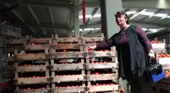 AK Parti Milletvekili Adayı Sıvacı Seçim Çalışmalarını Sürdürüyor