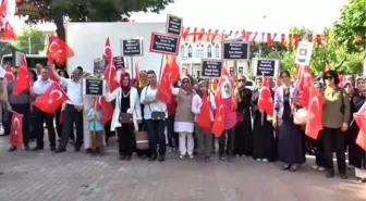 Mursi Hakkındaki İdam Kararına Tepkiler