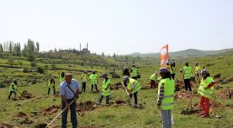Talas'ta Bir Cana 10 Fidan Projesi