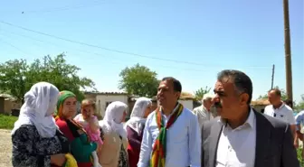 HDP'li Adaylar Seçim Çalışmalarını Yoğunlaştırdı