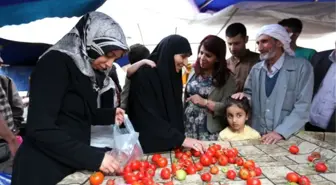 HDP'nin Bağlar'da Seçim Çalışmaları Aralıksız Sürüyor