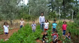 Minikler, Okul Bahçesinde Meyve ve Sebze Yetiştirdi