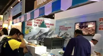 Türk Su Ürünleri Sektörü Yeni İhracat Pazarları Arıyor