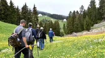 Gümüşhaneli Dağcılardan Yeşile Yürüyüş