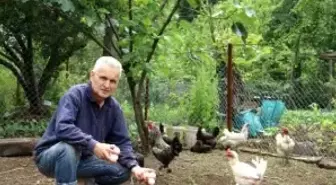 Demir Çelik Emeklisi Bahçesinde Onlarca Çeşit Ürün Yetiştiriyor