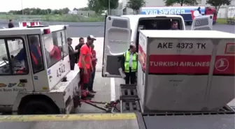 Köln'deki Oylar, Türkiye'ye Gönderildi