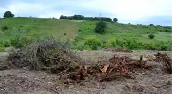 Köylülerden Barınak Tepkisi