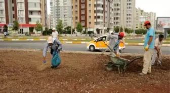 Mahabad Bulvarı'ndaki Kavşakların Peyzaj Çalışması Sürüyor