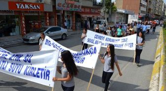 Söke'de 5 Haziran Çevre Günü Kutlandı