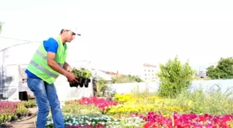 Tekmelenen Madenci, Bergama Belediyesi'nde İşe Başladı