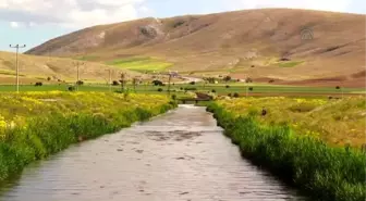 Yağmurun Bereketi Buğdayda Beklentiyi Arttırdı