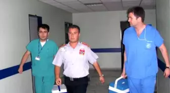 Sökeli Servis Şoförünün Organları Umut Oldu