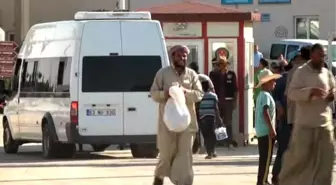 Türkiye'ye Sığınan Suriyeliler (2)