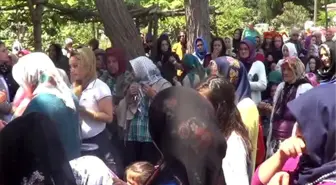 Ordu Beyin Tümörüne Yenik Düşen Sıla Gözyaşlarıyla Uğurlandı