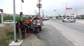 Osmaniye'de Bıçaklı, Silahlı Kavga: 1 Ölü, 3 Yaralı
