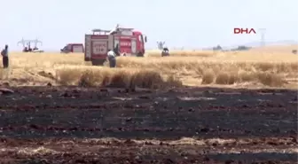 Adıyaman'da Buğday Tarlasında Yangın