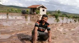 Yozgat'ta Dolu, Ekili Alanlara Zarar Verdi