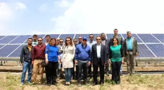 Altınyayla'da Güneş Panelleri ile Enerji Üretimi Başladı