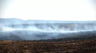 Midyat'ta 3 Bin Dönümlük Alan Kül Oldu