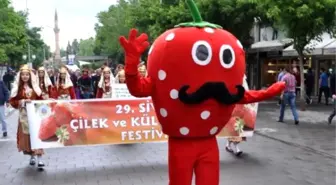 CHP'li Gürsel Tekin, Çilek Festivaline Katıldı