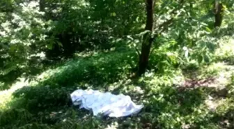 Kiraz Ağacından Düşerek Hayatını Kaybetti