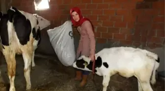 İvrindili Elif Hanım, 'Önder Çiftçi' Oldu