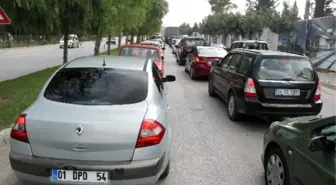 Lys Trafiği