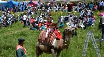 Yörükler Aziziye Yaylası'nda Buluştu