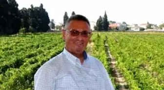 Don ve Dolu Felaketi Yaşayan Üzümcüleri Bekleyen Tehlike