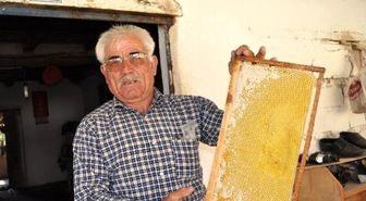 İmecikli Balcılar Bu Yıl Mutlu