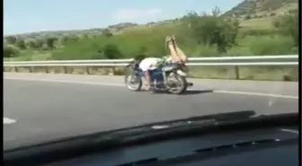 Muğla'da Motosiklet Sürücüsünün Ölümle Dansı