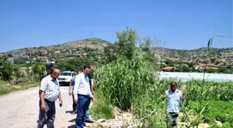 Sındırgı'da Elektrik Nakil Hatları Yenileniyor