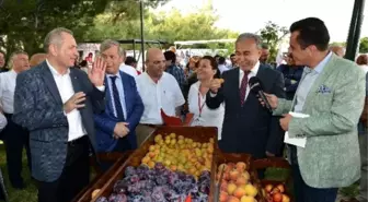 Adana'da Meyve Bayramı