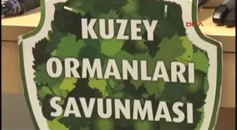 Kuzey Ormanları Savunması: 3. Köprü Artık 2 Beton Kuleden İbarettir